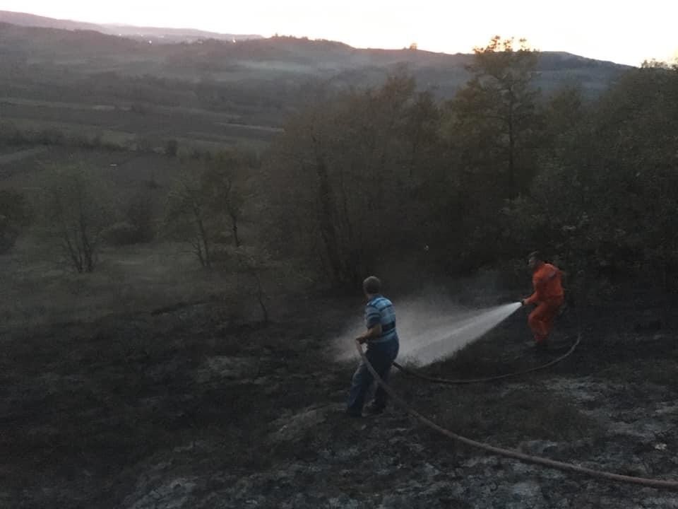 KAYNARCA’DA KORKUTAN ORMAN YANGINI